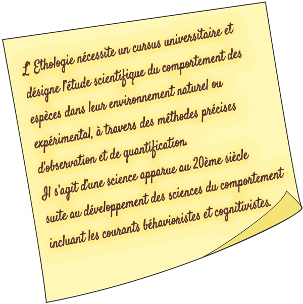 post-it COE équin