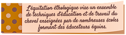 post-it équitation éthologique
